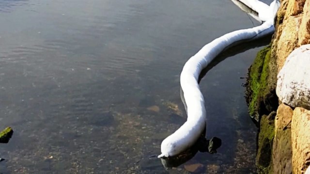 Principado Asturias no encuentra a culpables del vertido de 4600 kg hidrocarburos a la ría de Avilés