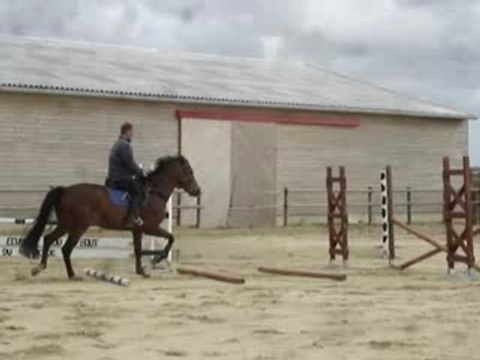 Oppidum de Nerville, Ecuries du bout du monde