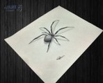 how to drow a spider تعلم رسم عنكبوت ثلاتية الابعاد بطريقة