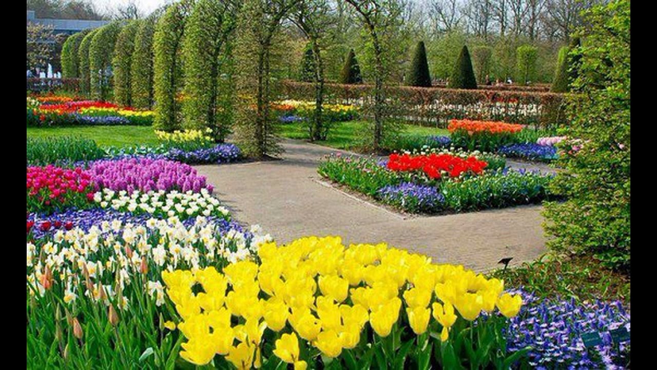 ZARA SENi YAZDIM KALBIME