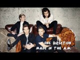 One Direction - Made In The AM (Louis' vocals)