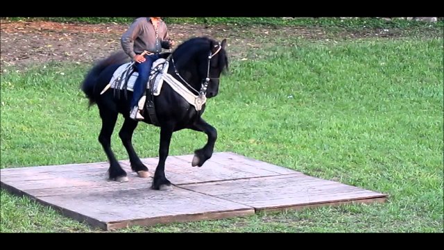 Banda Saucillos - El Corrido de Neto (Corridos Nuevos 2016) Exclusivo Compa Luny