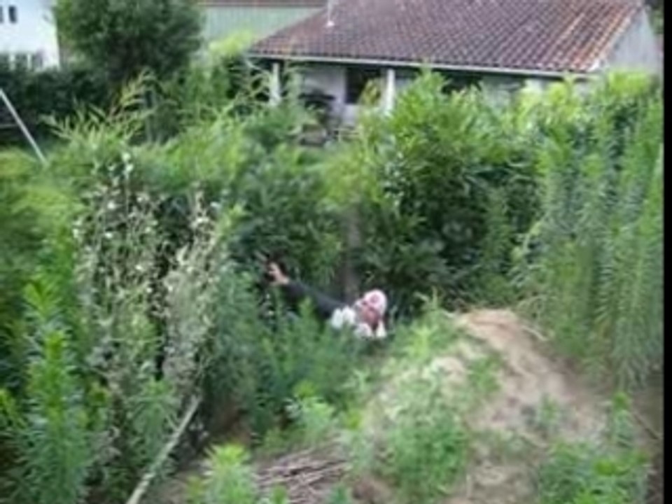 PAULETTE II : Prêt au combat