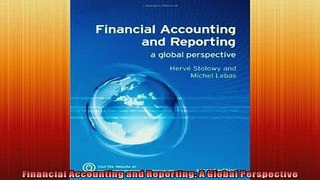 READ book  Financial Accounting and Reporting A Global Perspective  FREE BOOOK ONLINE