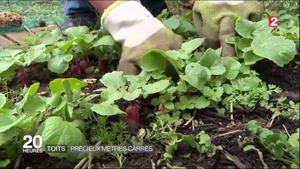 Urbanisme : aménager son toit est devenu tendance