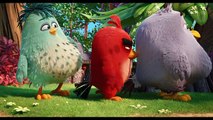 ANGRY BIRDS LA PELCULA. Y a ti qu es lo que te hace enfadar. En cines 13 de mayo.