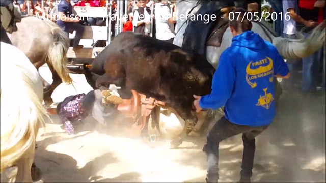 Mudaison-un gardian accroché-Gase-Traversee du Berange-07/05/2016