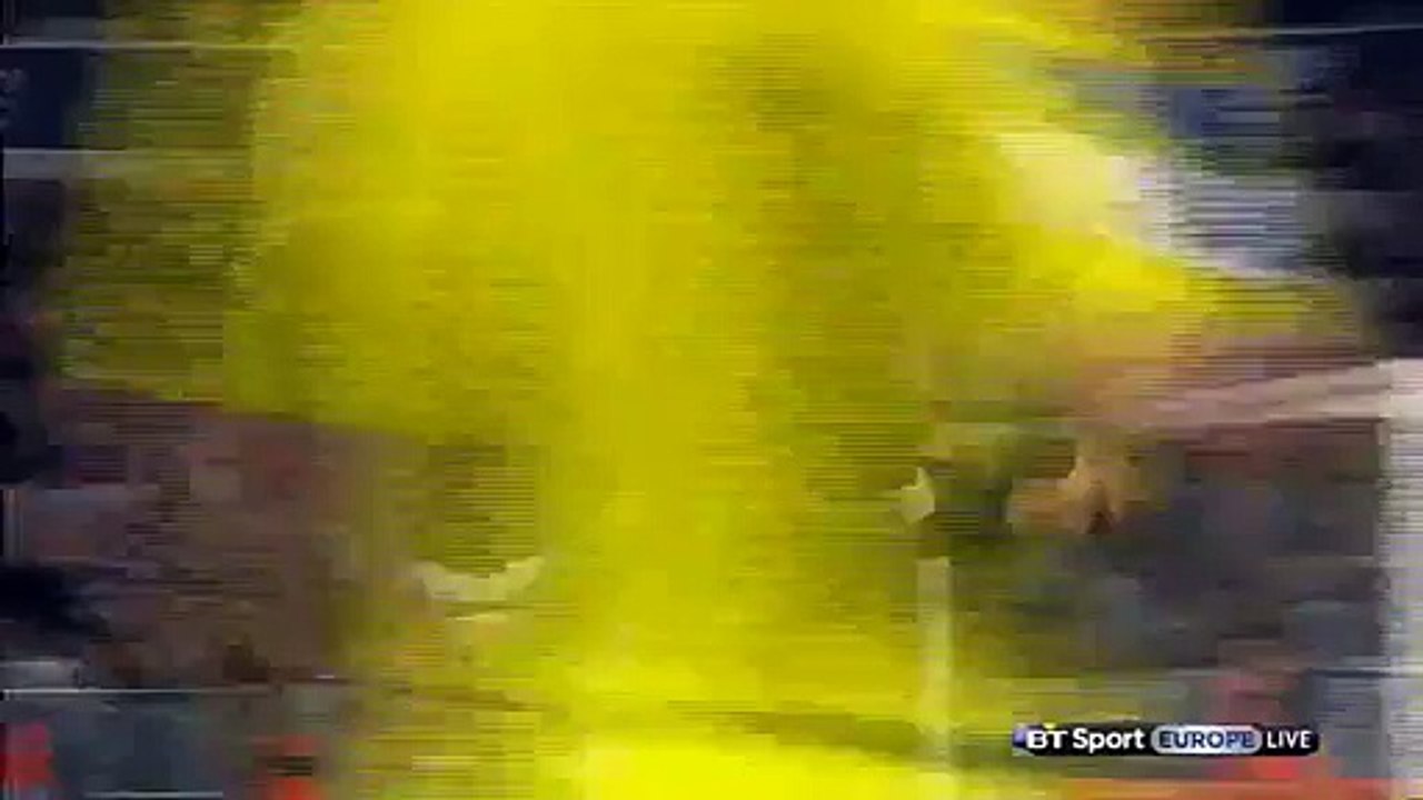 Nicolas Pallois Goal HD - Bordeaux 1-1 PSG - 11-05-2016