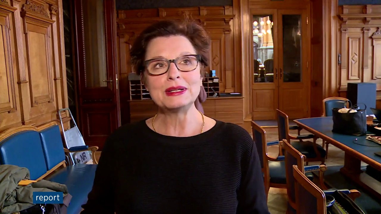 Das bedingungslose Grundeinkommen