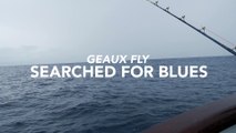 Blue Marlin FAD Fishing Aboard Geaux Fly in Costa Rica