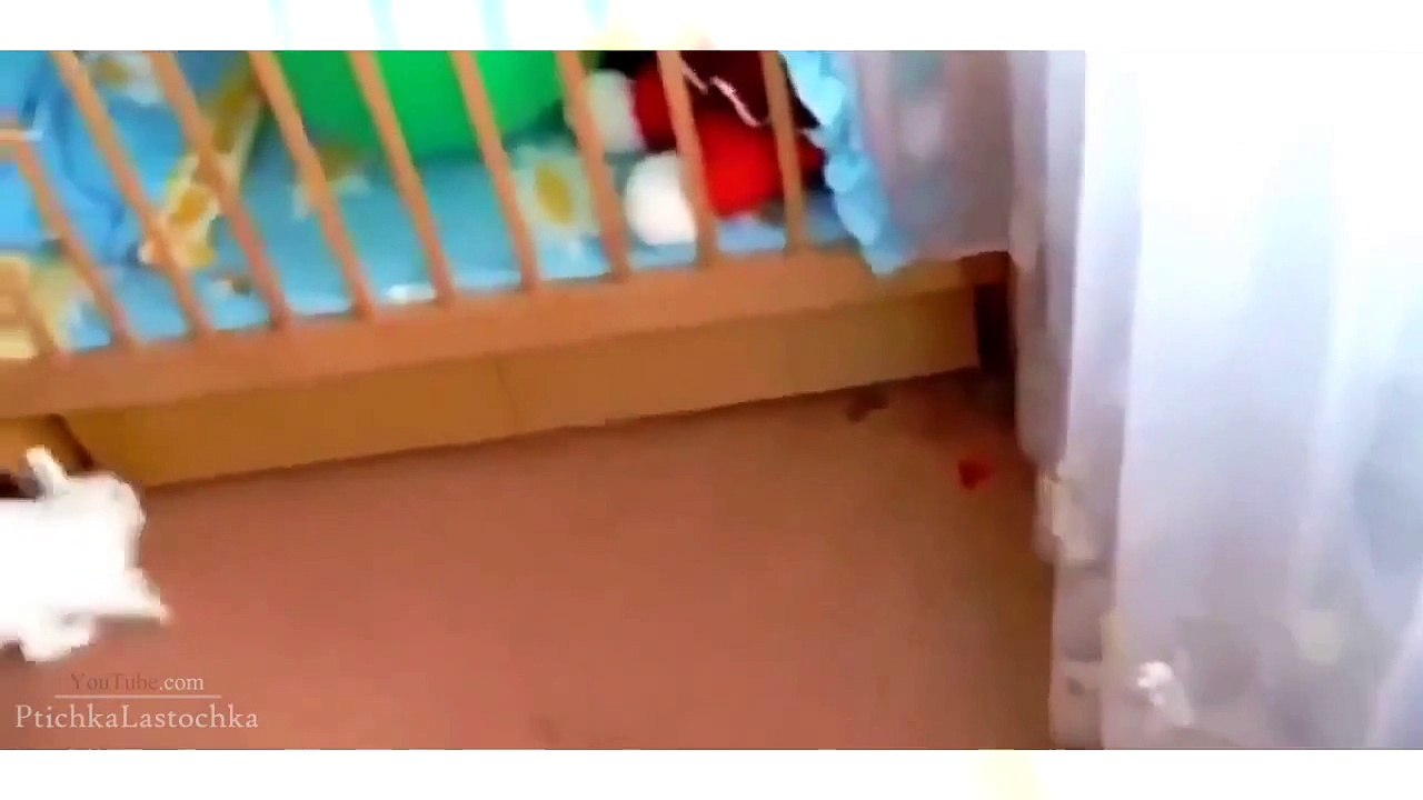 laugh