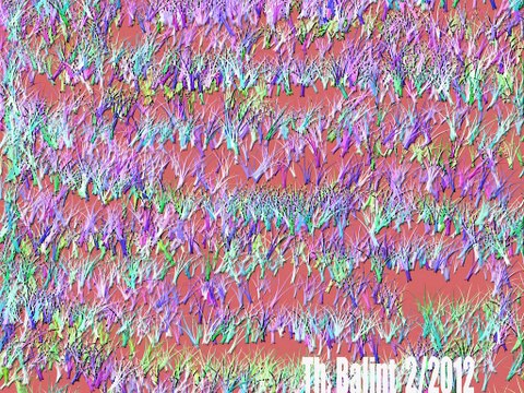 Créations numérique