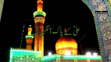 Daniyal - Sakhi Abbas (A.S) Aaye Hain New Manqabat