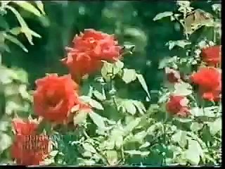 AASIYA -- SUPER HIT OLD PUNJABI FILM SONG