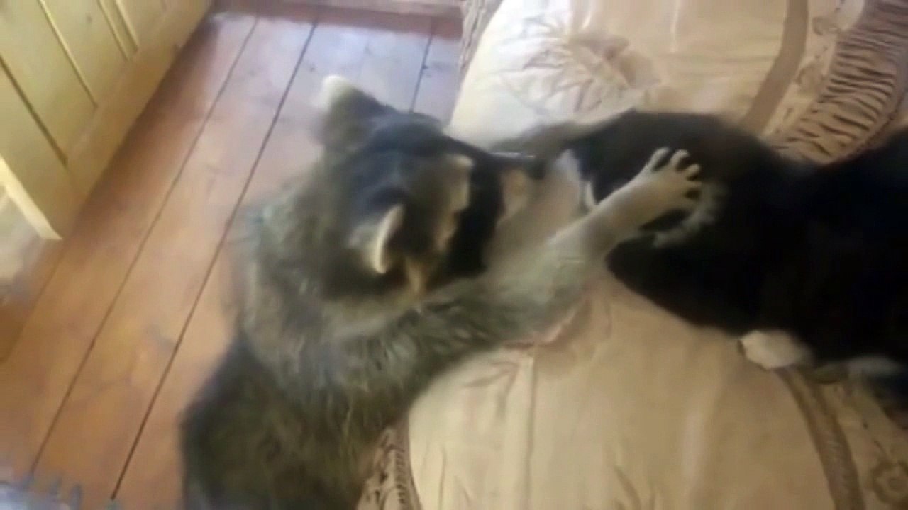 Иди сюда мой сладкий котик.