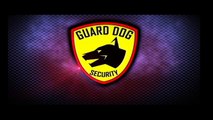 Self Defense Flashlight Stun Gun Rechargeable Tactical Weapon Guard Dog Diablo