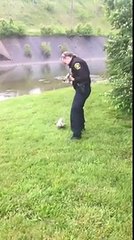 Un'oca Attira L'attenzione Di Un Agente: Quando Scopre Dove Lo Sta Portando Resta Senza Parole