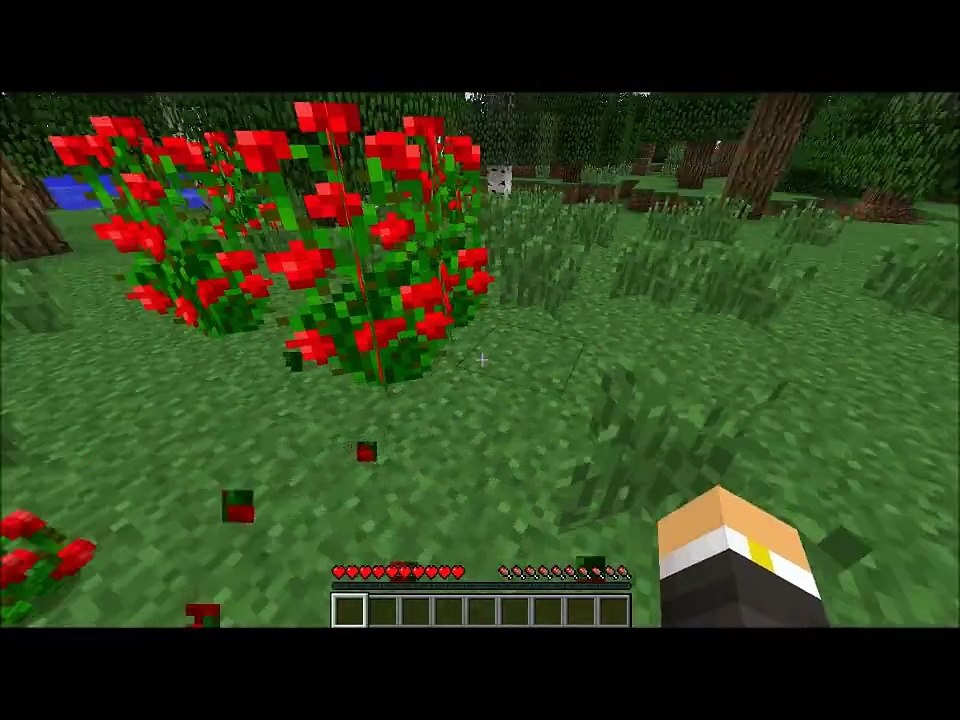 Raspberry Pi Minecraft Server Stress Testing - 1 Player
