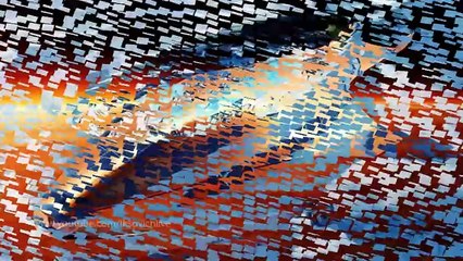 Авиационное Морское Быстроходное _ Aviation Marine Fleet