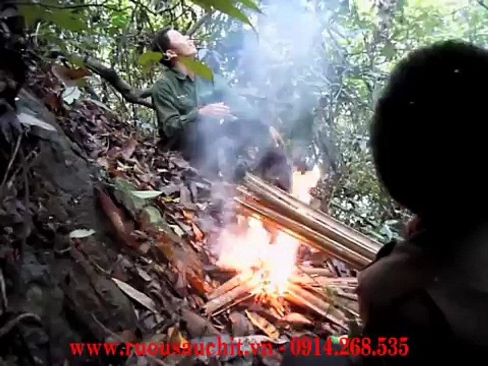 Săn mật Ong rừng