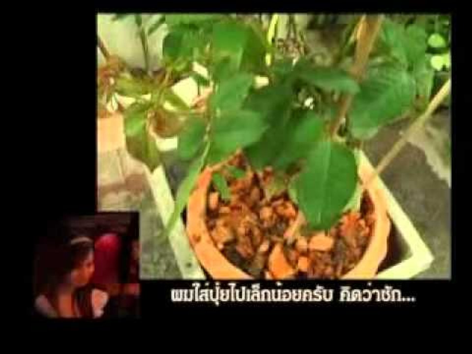 ขอแต่งงาน ศึกน้ำผึ้งพระจันทร์ - OA210654