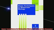 READ book  Basic Techniques in Molecular Biology Springer Lab Manuals Full Free