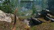 Bear Grylls: Skyrim Survivor