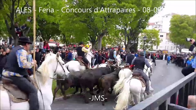 ALES-Feria-Concours d'Attrapaires-08/05/2016