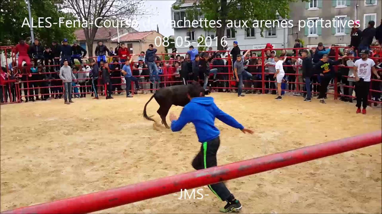 ALES-Feria-Course de vachettes aux arenes portatives-08/05/2016