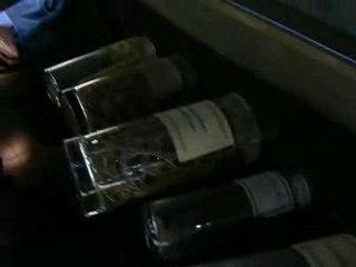 Visite du train harry potter