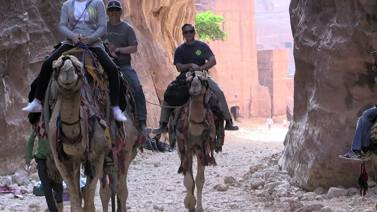 Jordanien: Pferde-Schinderei in Petra soll Ende haben