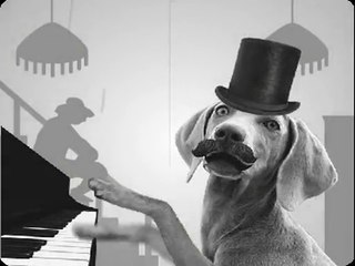 joyeux anniversaire Quentin