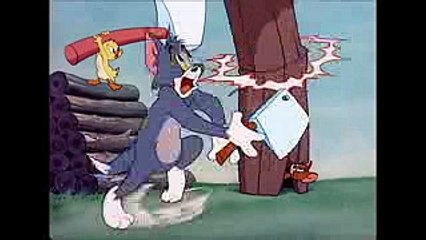 Tom and Jerry 47 Episode Little Quacker(1950)