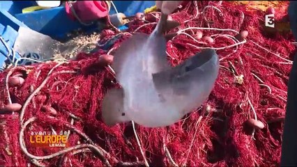 Avenue de l'Europe. Italie : la cuisine pauvre
