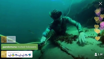 Periscope, ahora disponible en Twitter