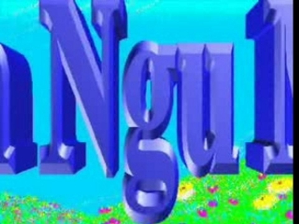 NN