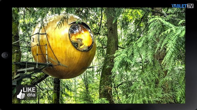 160519-012-091_LIKE_DNA_20160512