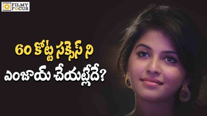 Reasons Behind Anjali not Particiapated in Sarainodu Movie Promotions - Filmyfocus.com