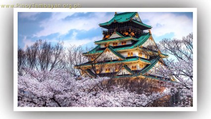 ProShow Slideshow Test version 7