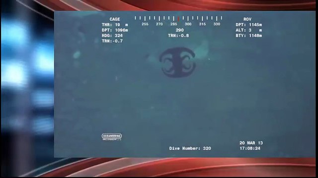 Une pieuvre qui ressemble à un Alien à 4000m de profondeur