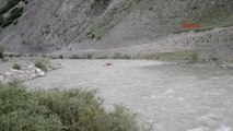 Hakkari - Zap Suyu'nda Rafting Heyecanı