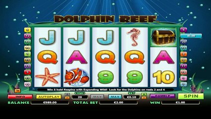 Dolphin Reef ilmainen kasino kolikkopeli NextGen Gaming Video Esikatselu