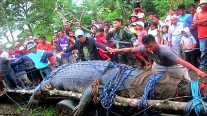 World's Biggest Animals All Time