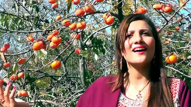 Zama Janan Da Ranga Toor Day Pashto New HD Songs 2016