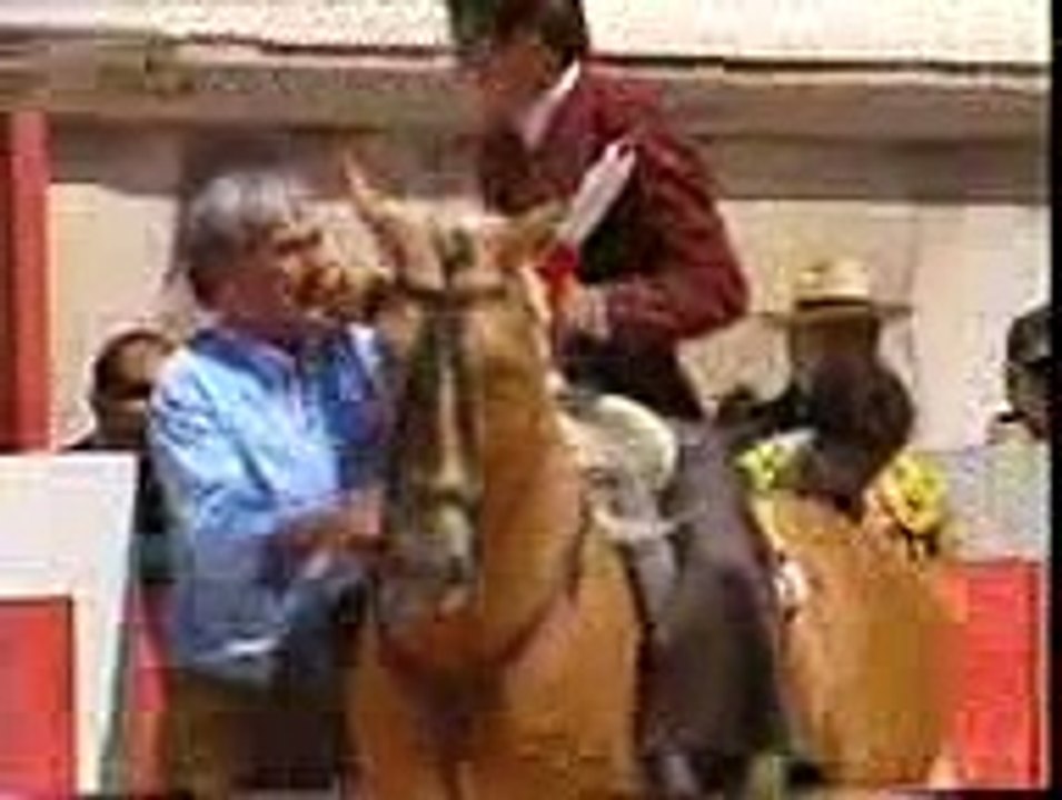 حصان الميتادور