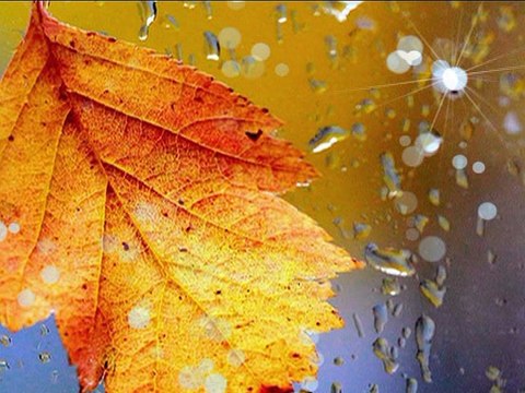 Первый снег. А. Ярёменко.