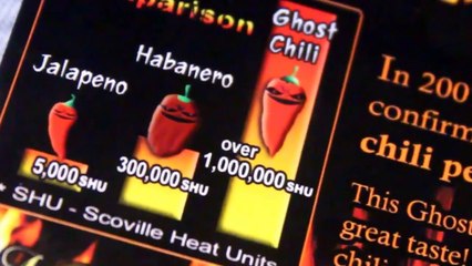 GHOST PEPPER CHALLENGE [WORST MISTAKE OF MY LIFE] | 600,000 Subscriber Special