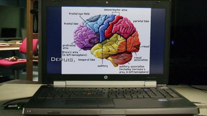 Les interfaces cerveau-machines