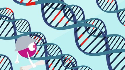 What happens when your DNA is damaged- - Monica Menesini