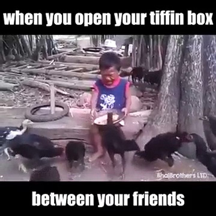 when kid open his lunch box;hen attacks so funny